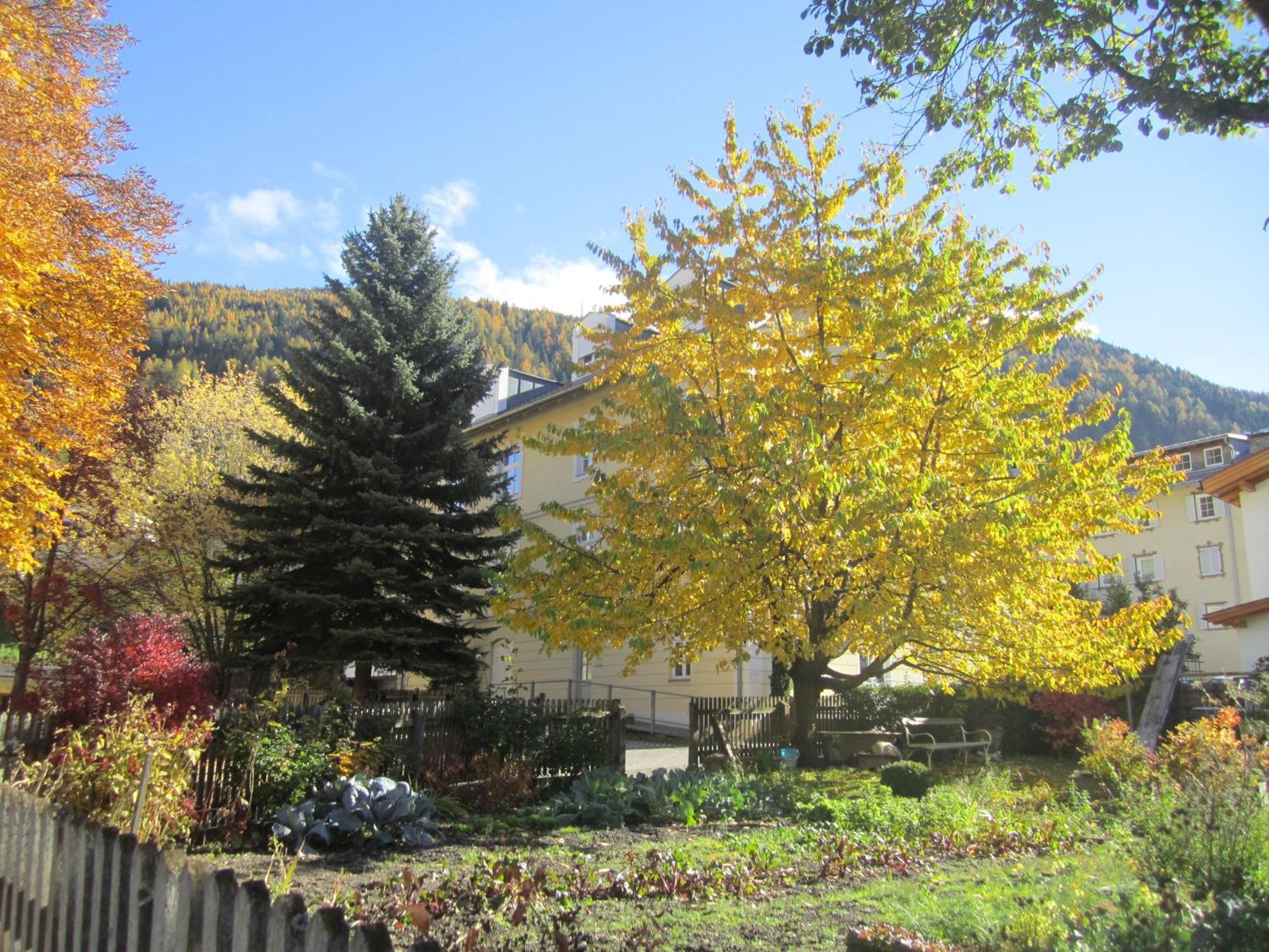 Residence Zum Theater คอลเลอิซาร์โค ภายนอก รูปภาพ